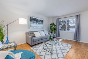 Edmonton apartment for rent - A living room with a grey couch, a glass coffee table, and a blue rug.