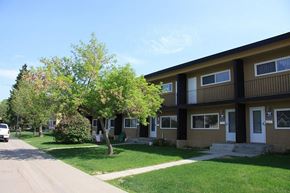 Edmonton apartment for rent - A tree in front of a building with a white door.