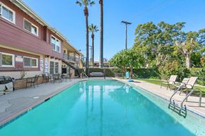 Burbank apartment for rent - A swimming pool in a residential area with a palm tree.
