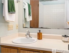 Seattle condo for rent - A bathroom sink with a wooden soap holder and a mirror above it.