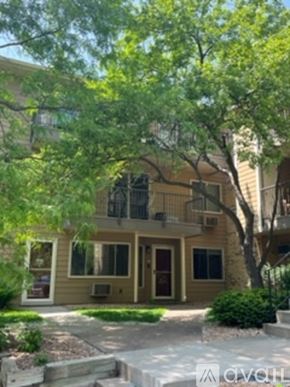Minneapolis condo for rent - A tree in front of a two-story apartment building.