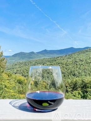Thornton house for rent - A glass of red wine is on a table with a mountainous landscape in the background.