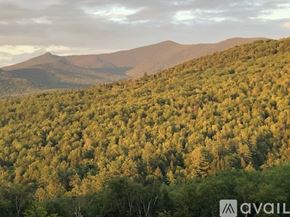 Thornton house for rent - A forest of trees with a mountain in the background.