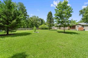 Jacksonville house for rent - A grassy field with trees and a fence in the background.