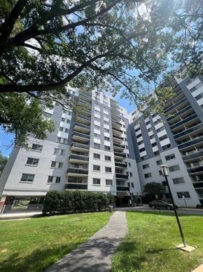 Takoma Park house for rent - A tall residential building with a tree in the foreground.