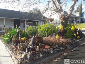 Benicia house for rent - A garden with a variety of plants and rocks in the foreground.