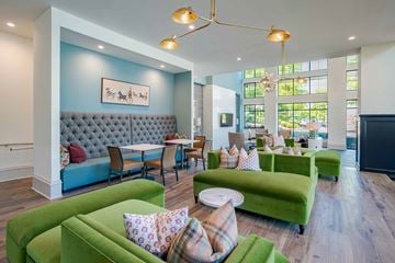 Birmingham apartment for rent - A living room with a grey tufted couch and green couches.