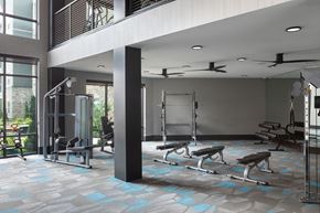 Overland Park apartment for rent - A gym with a variety of equipment including weights and benches.