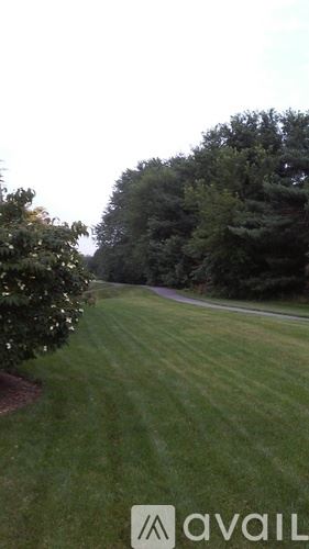 Mountville townhouse for rent - A grassy area with trees in the background.