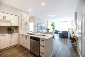 Whitby apartment for rent - A modern kitchen with a dishwasher, sink, and a large window.