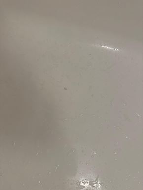 Washington apartment for rent - A dirty glass surface with some stains and spots.