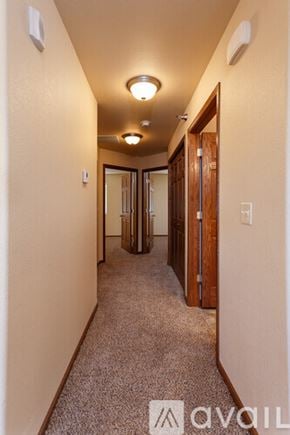 Summerset apartment for rent - A hallway with a carpeted floor and a door on the right side.