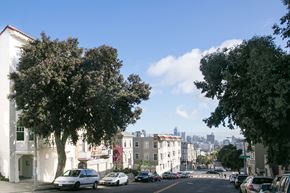 San Francisco apartment for rent - A tree-lined street with cars parked on the side and buildings in the background.