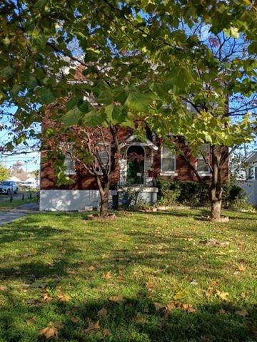 Louisville apartment for rent - A tree with green leaves is in front of a house.