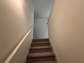 Wilson apartment for rent - A staircase with a beige carpet and white walls.