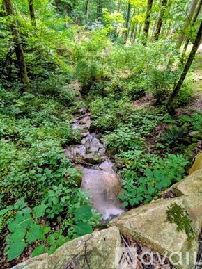 Sylva apartment for rent - A stream flows through a lush green forest.