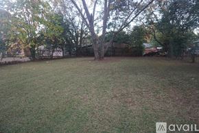 Montgomery house for rent - A grassy backyard with trees and a fence.
