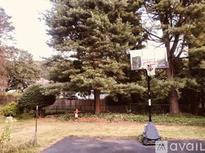 Vestal house for rent - A basketball hoop is mounted on a pole in a grassy area.