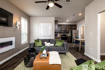 Denton house for rent - A living room with a grey couch and a television on the wall.