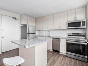 Toronto apartment for rent - A kitchen with a granite countertop and stainless steel appliances.