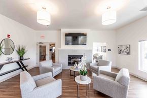 Arlington Heights apartment for rent - A living room with a fireplace and a television.
