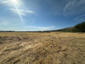 Kennewick house for rent - A field with dry grass and a bright sun in the sky.