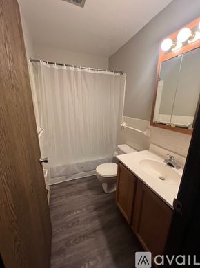 North Mankato apartment for rent - A bathroom with a toilet, sink, and shower.