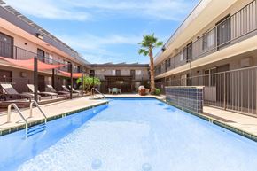 Tucson apartment for rent - A swimming pool in a residential area with a palm tree.