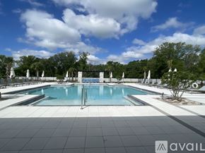 Lutz house for rent - A large swimming pool surrounded by trees and a cloudy sky.
