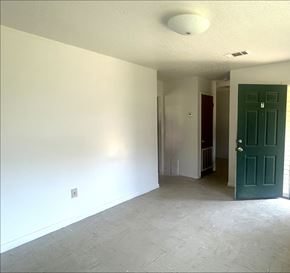 Woodville apartment for rent - A room with a green door and a white wall.