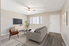 Phoenix apartment for rent - A living room with a grey sofa, a wooden chair, a television, and a potted plant.