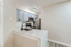 Dallas apartment for rent - A kitchen with a sink and a microwave.