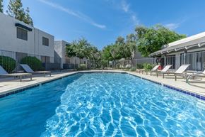 Phoenix apartment for rent - A swimming pool with a blue tiled edge and sun loungers on the side.