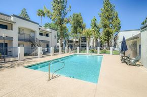 Mesa apartment for rent - A swimming pool surrounded by a fence and trees.