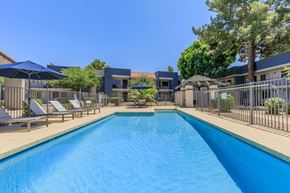 Phoenix apartment for rent - A large blue swimming pool surrounded by lounge chairs and umbrellas.