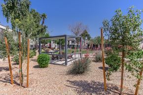 Tempe apartment for rent - A garden with a pavilion and trees.