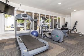 Tempe apartment for rent - A treadmill, a rowing machine, and a stationary bike are in a gym.