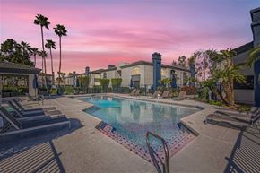 Tempe apartment for rent - A pool surrounded by lounge chairs and palm trees.