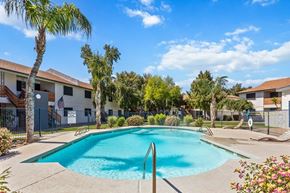 Phoenix apartment for rent - A swimming pool surrounded by palm trees and residential buildings.