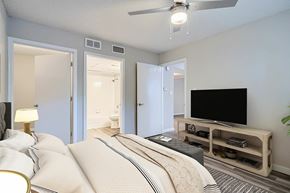 Charlotte apartment for rent - A bedroom with a large bed and a television.