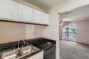 Charlotte apartment for rent - A bedroom with a large bed and a potted plant.