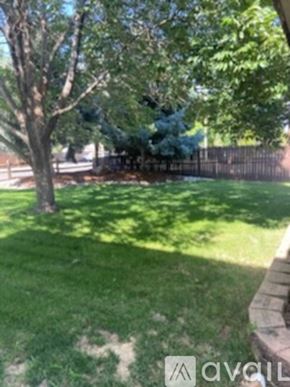 Longmont apartment for rent - A tree in a yard with a fence in the background.