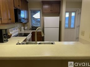 Boone apartment for rent - A kitchen with a sink and a refrigerator.