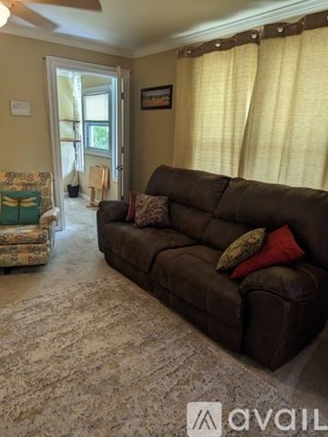 Roanoke apartment for rent - A living room with a brown couch and a patterned rug.
