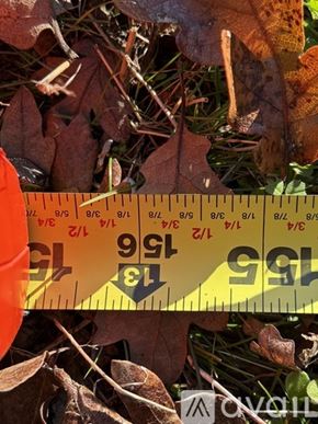 Jacksonville apartment for rent - A yellow measuring tape with the number 99 on it is laying on some leaves.