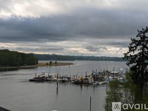 St. Helens apartment for rent - Four people stand on blue paddleboards on a body of water.