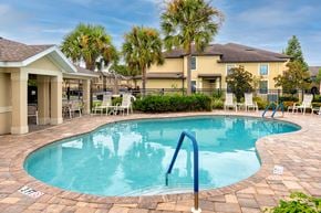 Clearwater house for rent - A pool with a blue ladder in the middle of it.
