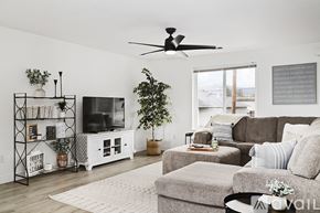 Grants Pass house for rent - A living room with a grey couch, a white rug, a TV, and a plant.