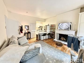 Boston apartment for rent - A living room with a fireplace and a television on the wall.