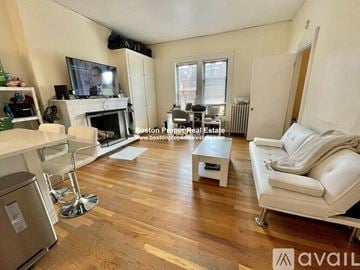 Boston apartment for rent - A living room with a fireplace and a television on the wall.